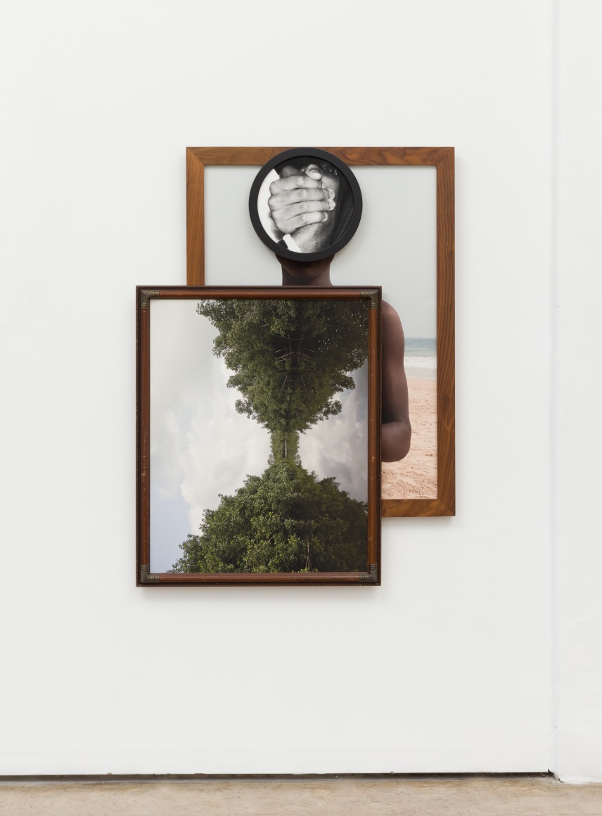 Todd Gray, Maya Venus