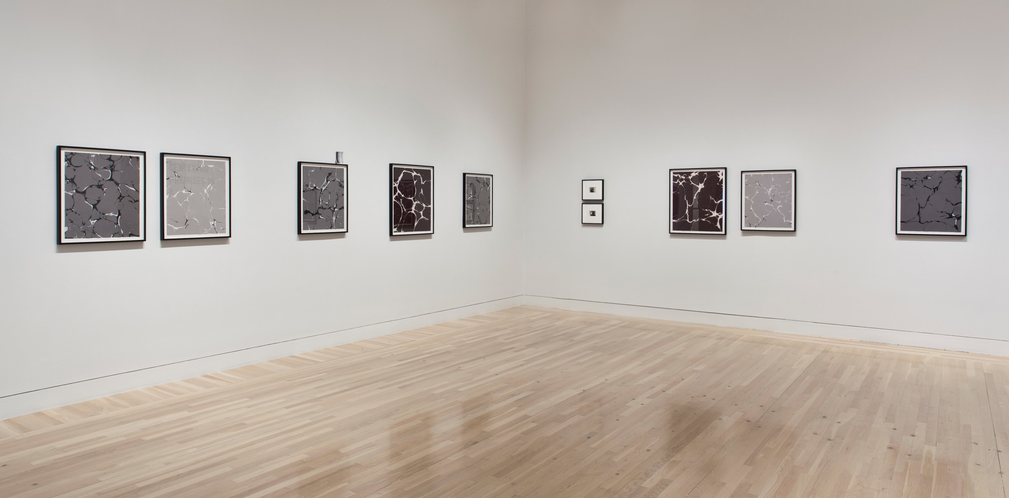 Cody Trepte, Made in L.A.