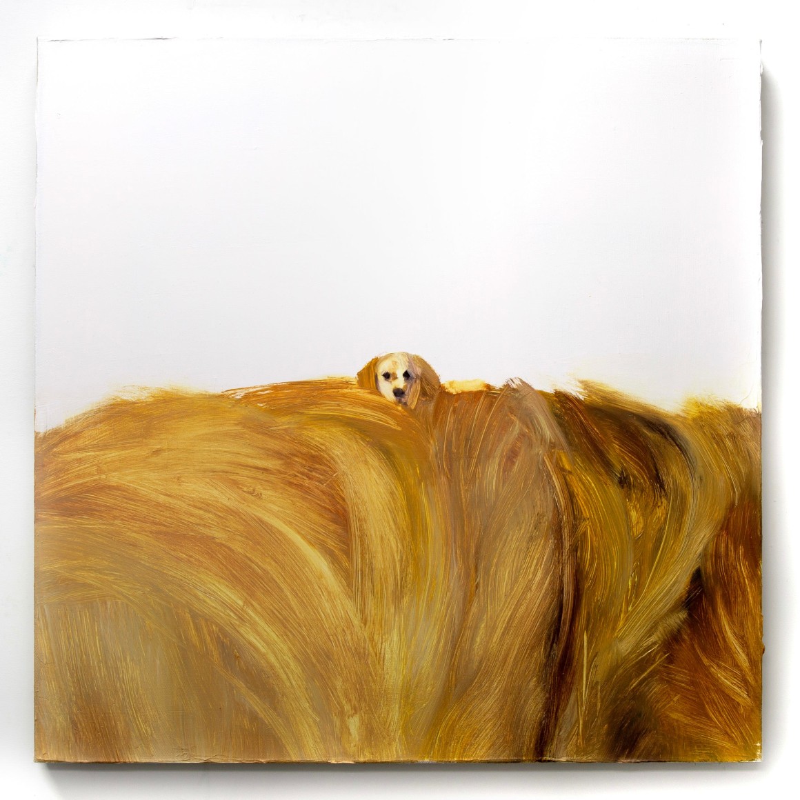 James J.A. Mercer, Come Closer