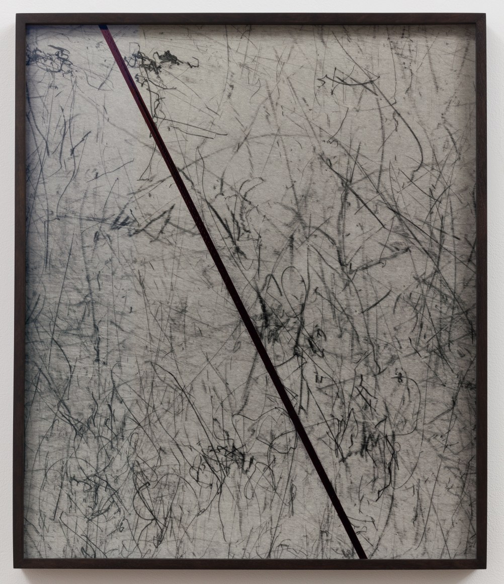 Cody Trepte, To Certain