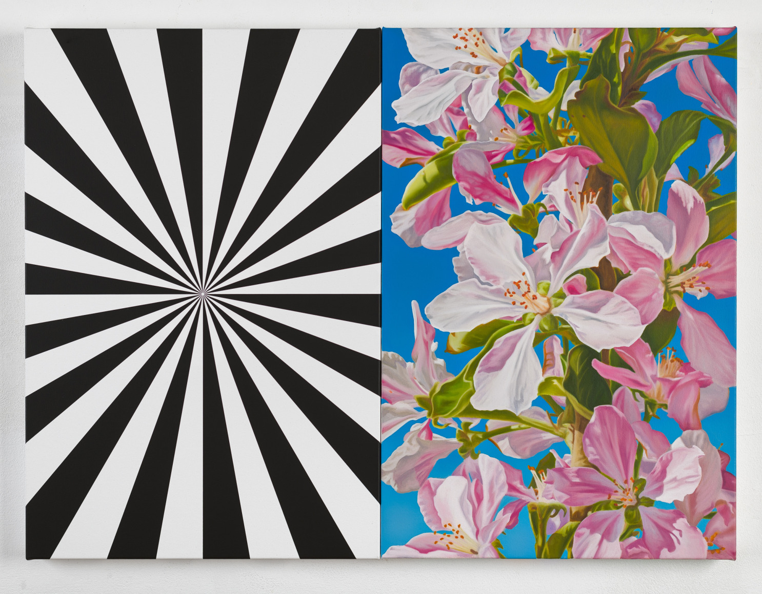 Mustafa Hulusi, Apple Blossom 2, 2021