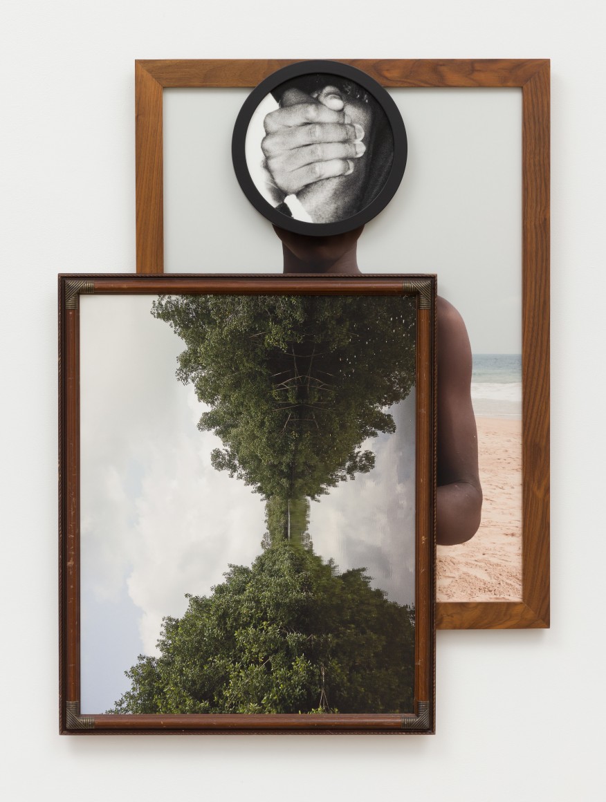 Todd Gray, Maya Venus