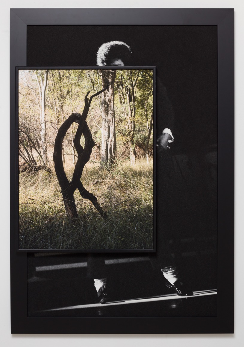 Todd Gray, Even Trees Dance