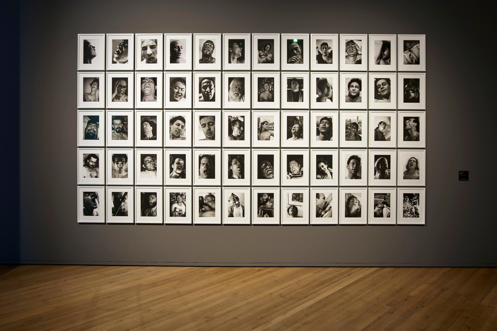 Aura Rosenberg, Head Shots