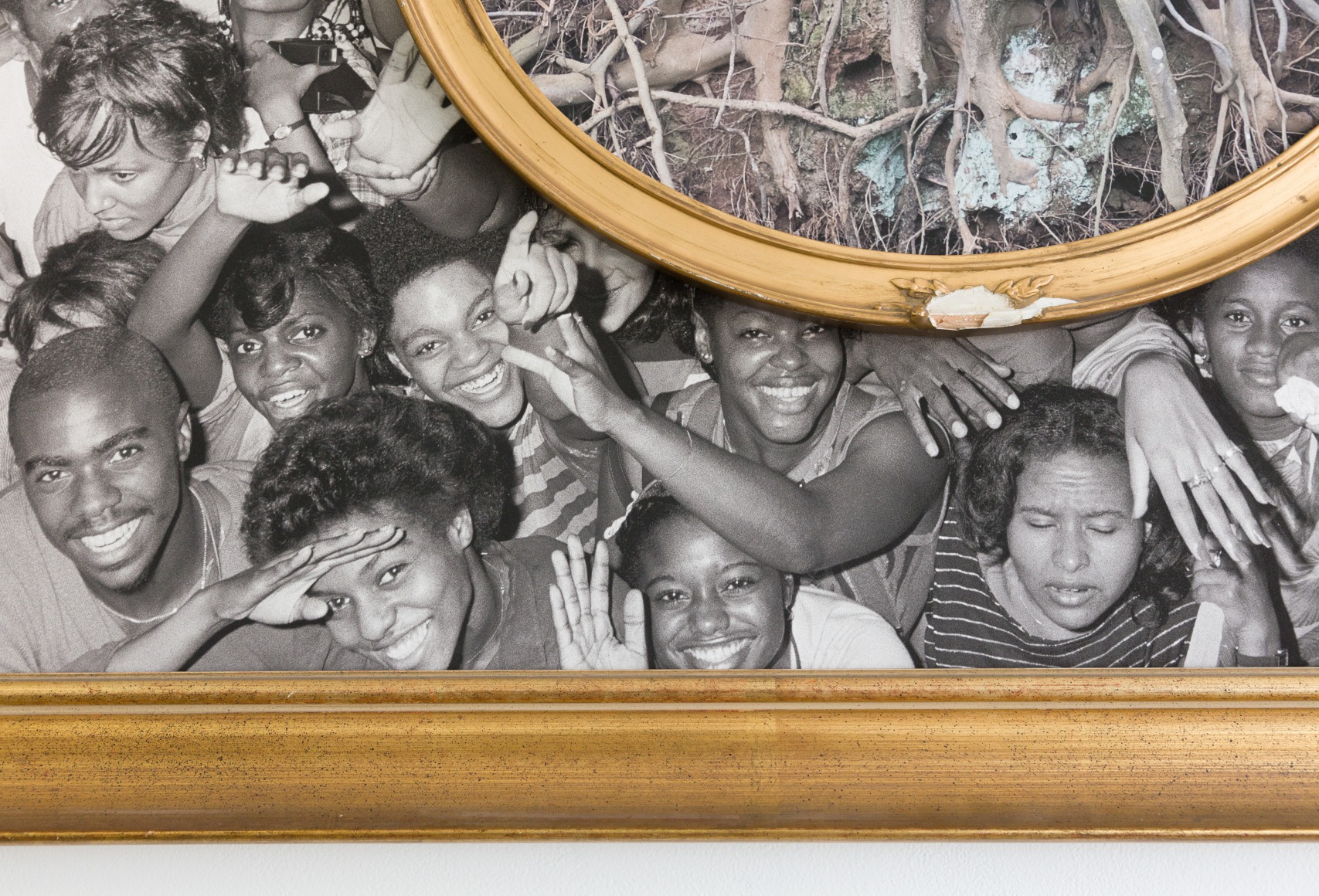 Todd Gray, Flora Africanus (D.C.)