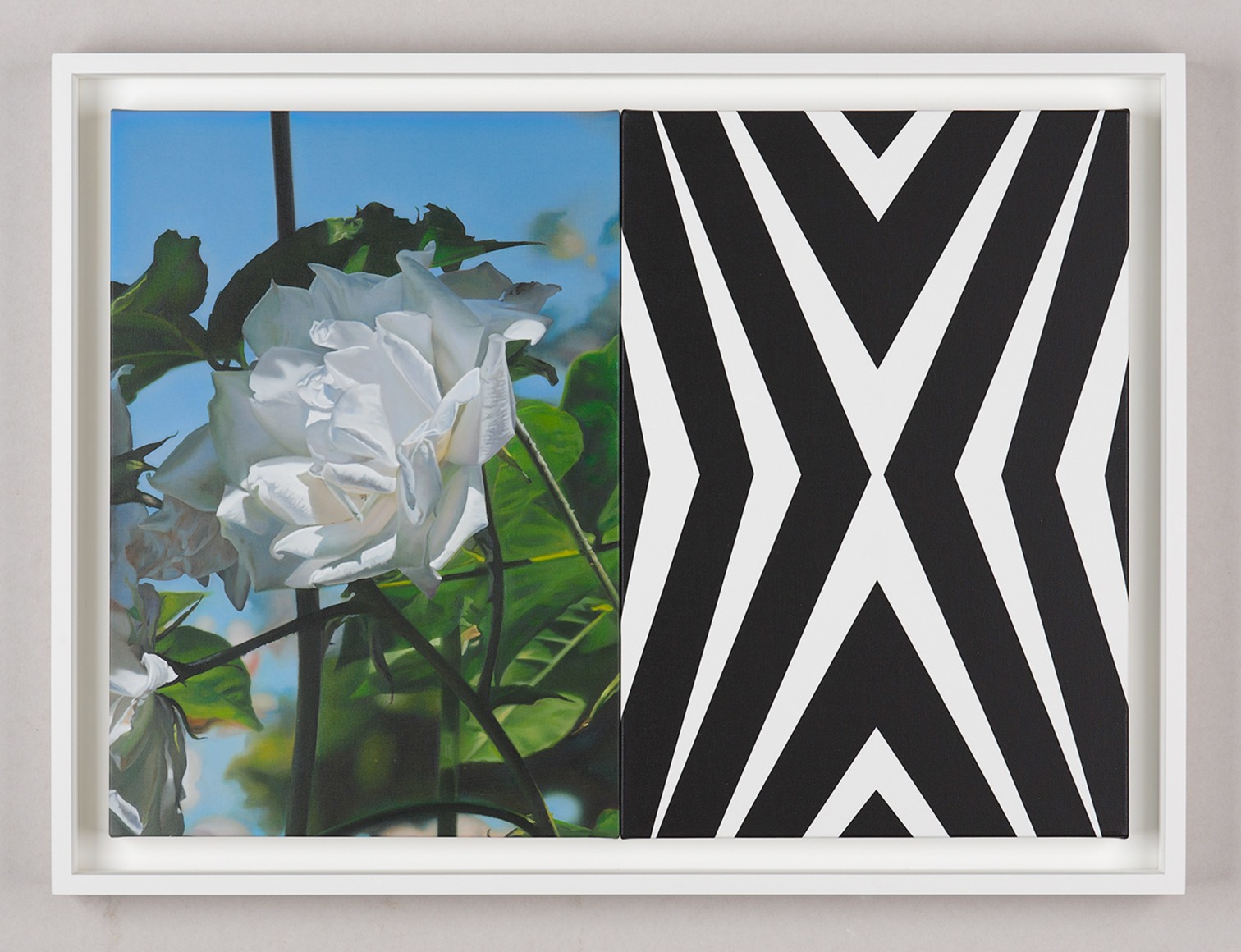 Mustafa Hulusi Abstract Rose 6B (S)