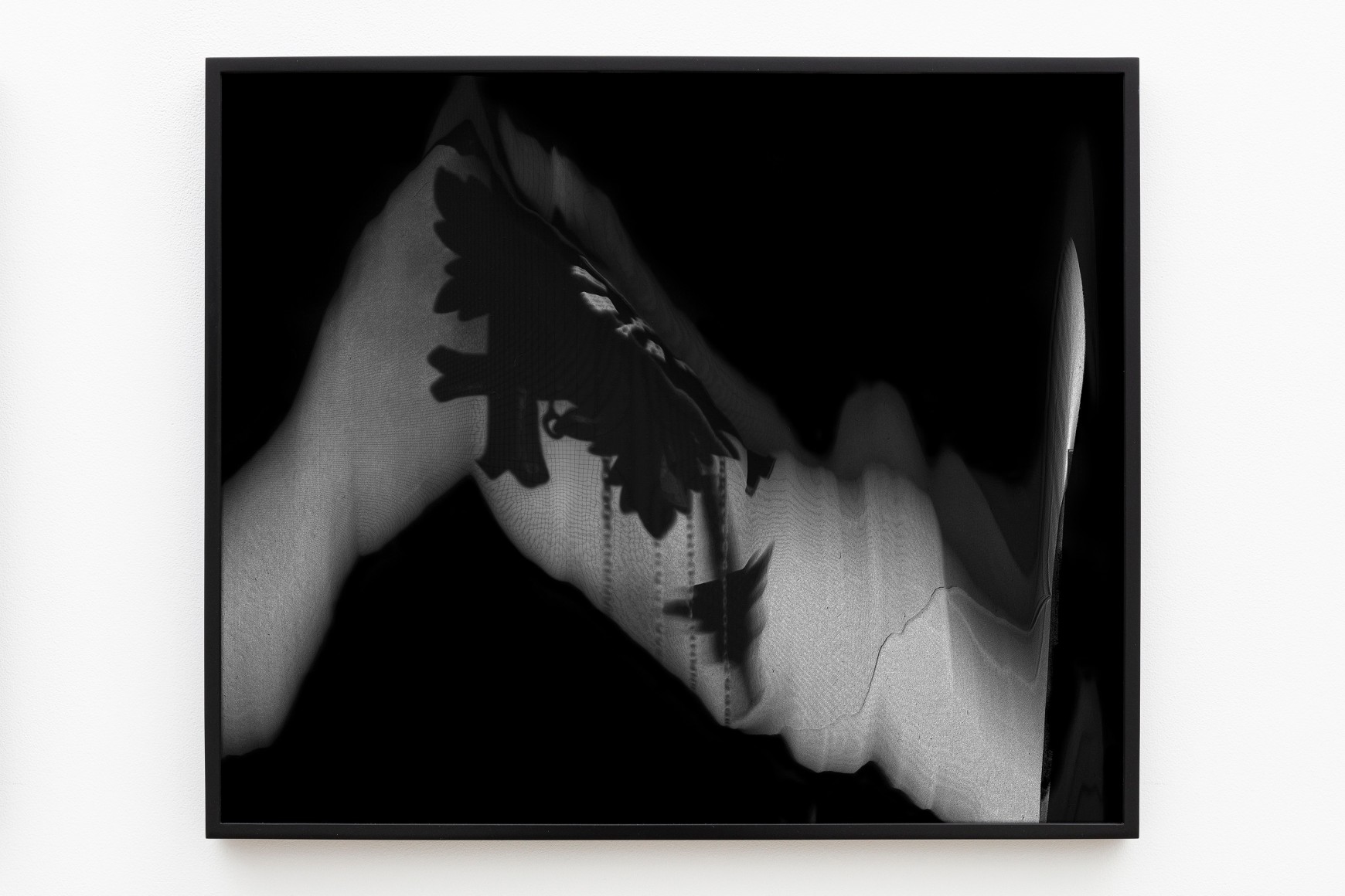 Cody Trepte, A Fact of Course, 2013