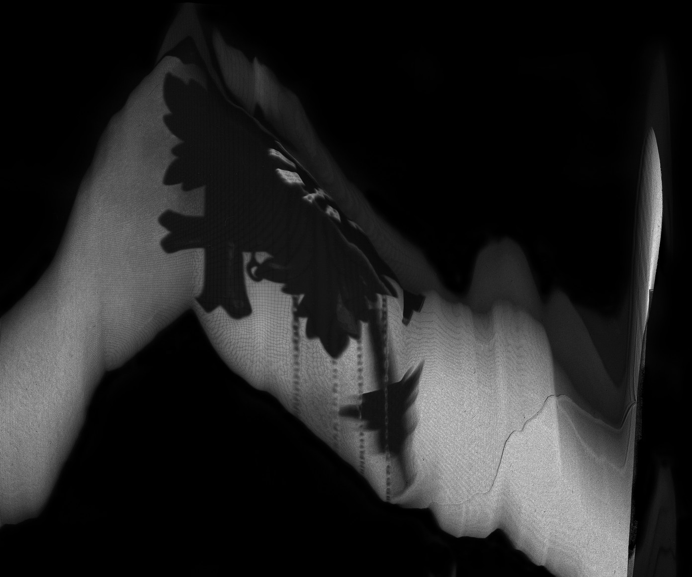 Cody Trepte, A Fact of Course, 2013