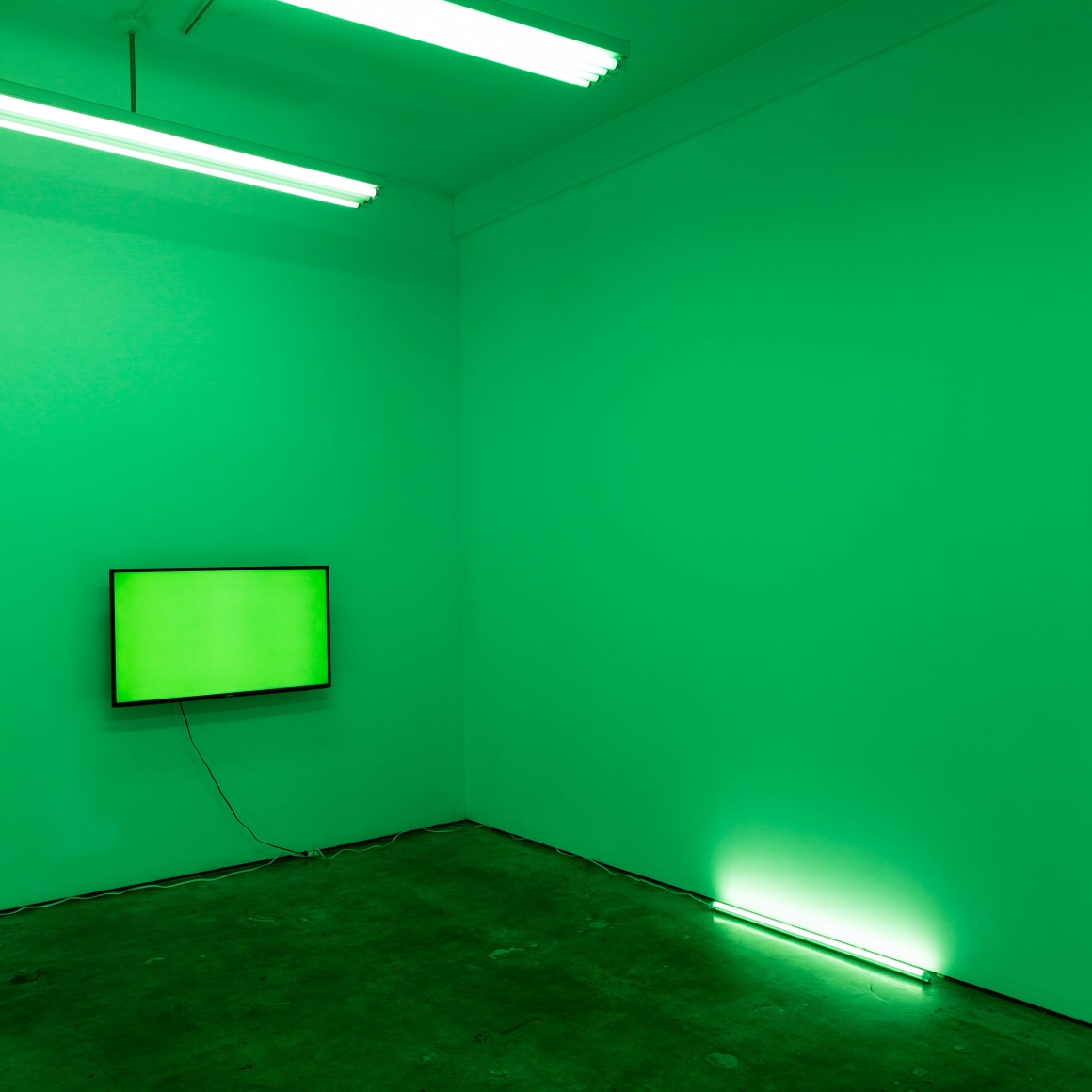 Richard Hoeck &amp;amp; Heimo Zobernig