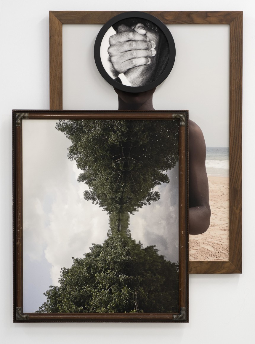 Todd Gray, Maya Venus