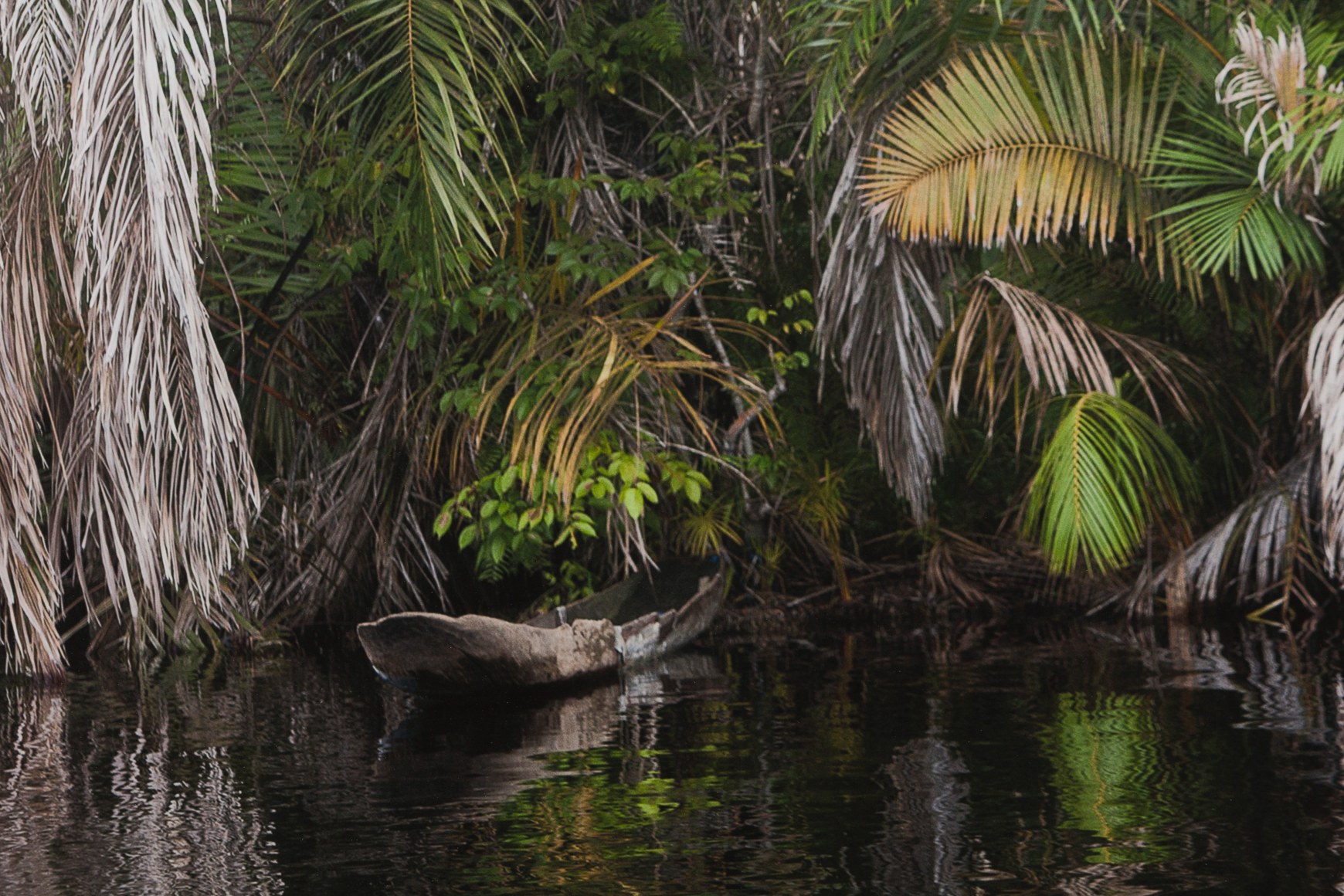 Todd Gray, Slipping into Darkness, all the Honey Gone