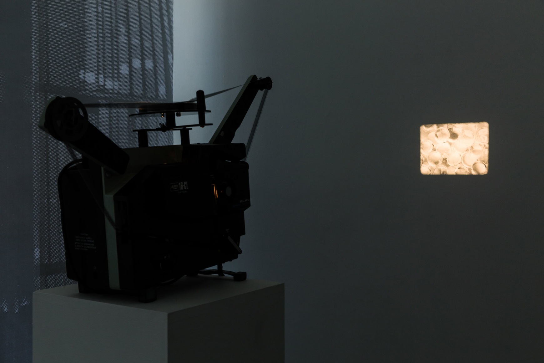 Cody Trepte, Remainder