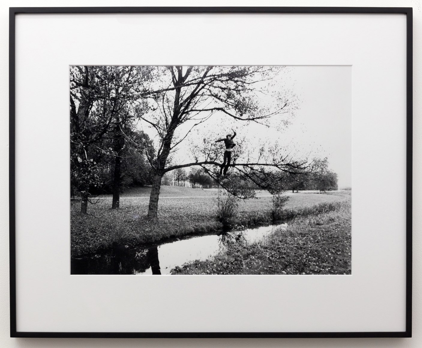 Bas Jan&nbsp;Ader, Broken fall (organic), Amsterdamse Bos, Holland