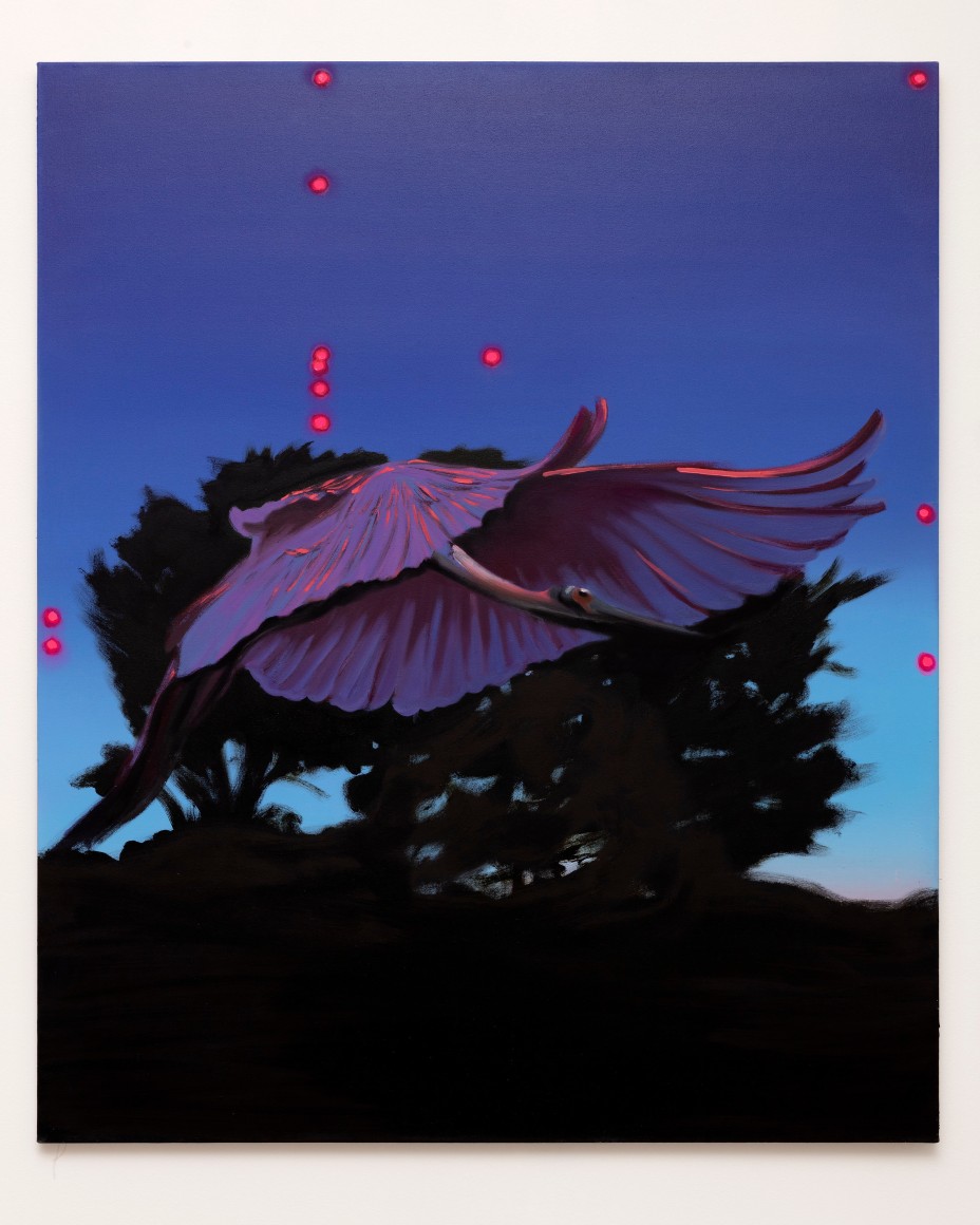 Yifan Jiang, Pelican, 2022