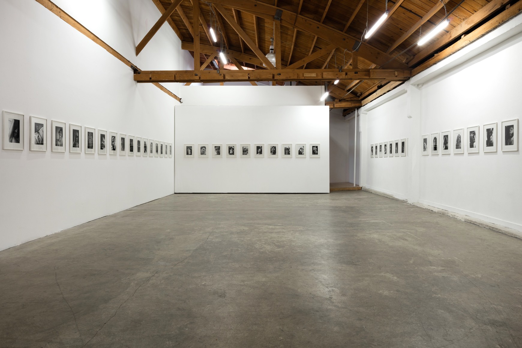 Aura Rosenberg, Head Shots