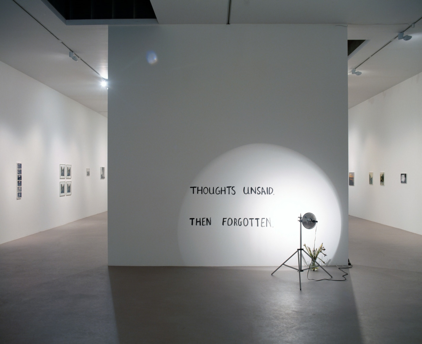 Bas Jan Ader, All is falling