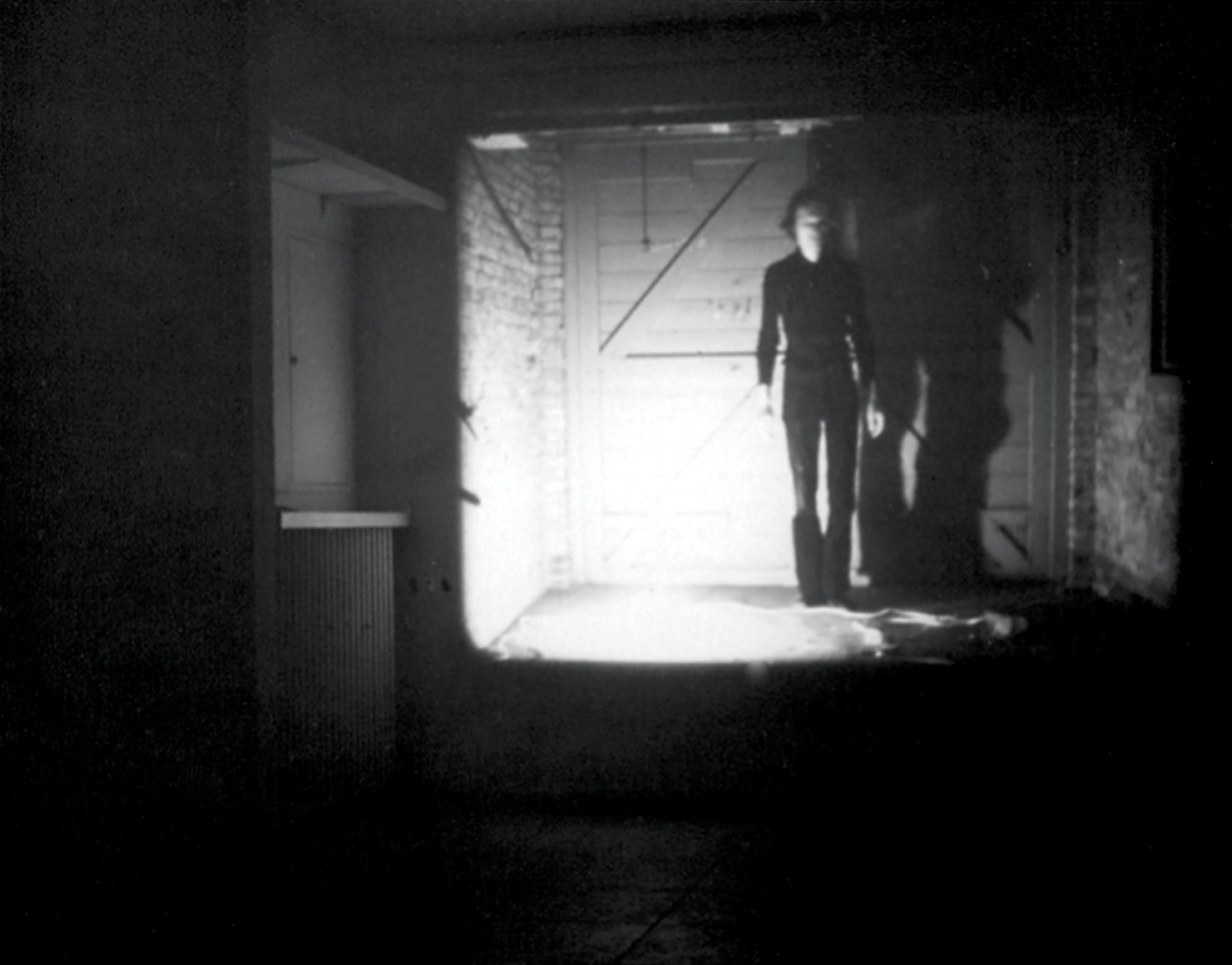 Bas Jan Ader, Nightfall, 1971