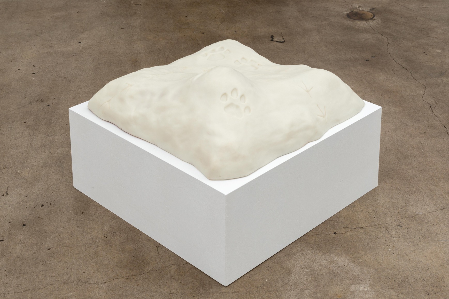 Stephanie Taylor, Interstellar Paw Print