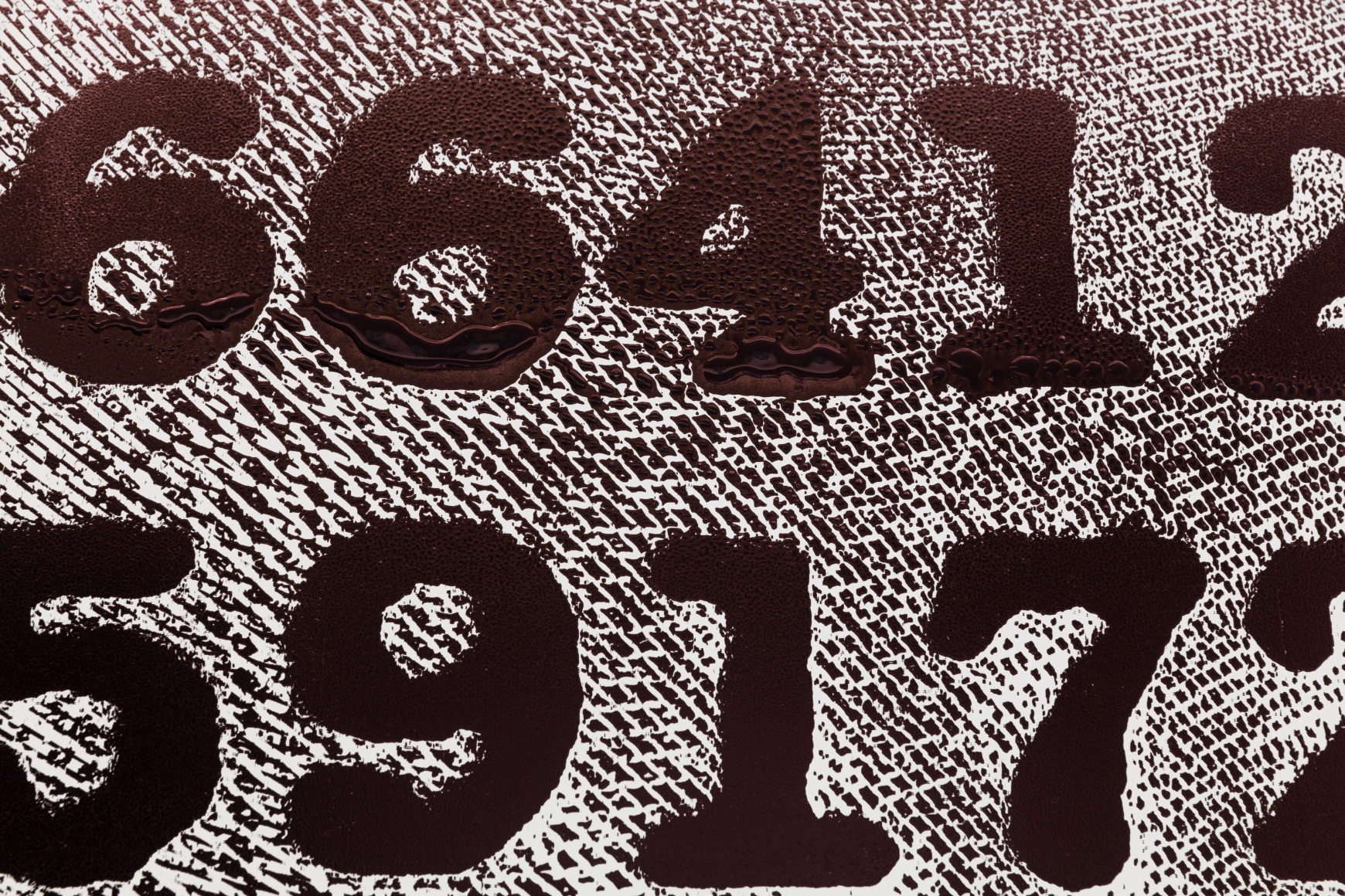 Cody Trepte, Almost A