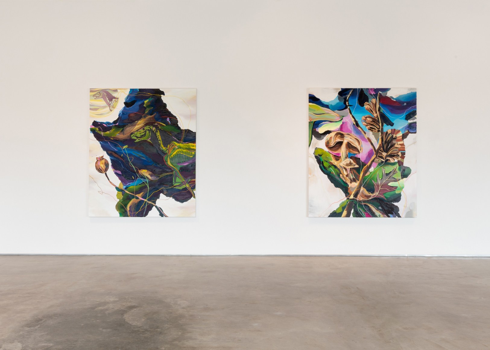 Adam Saks, Everything the Light Touches is your Kingdom