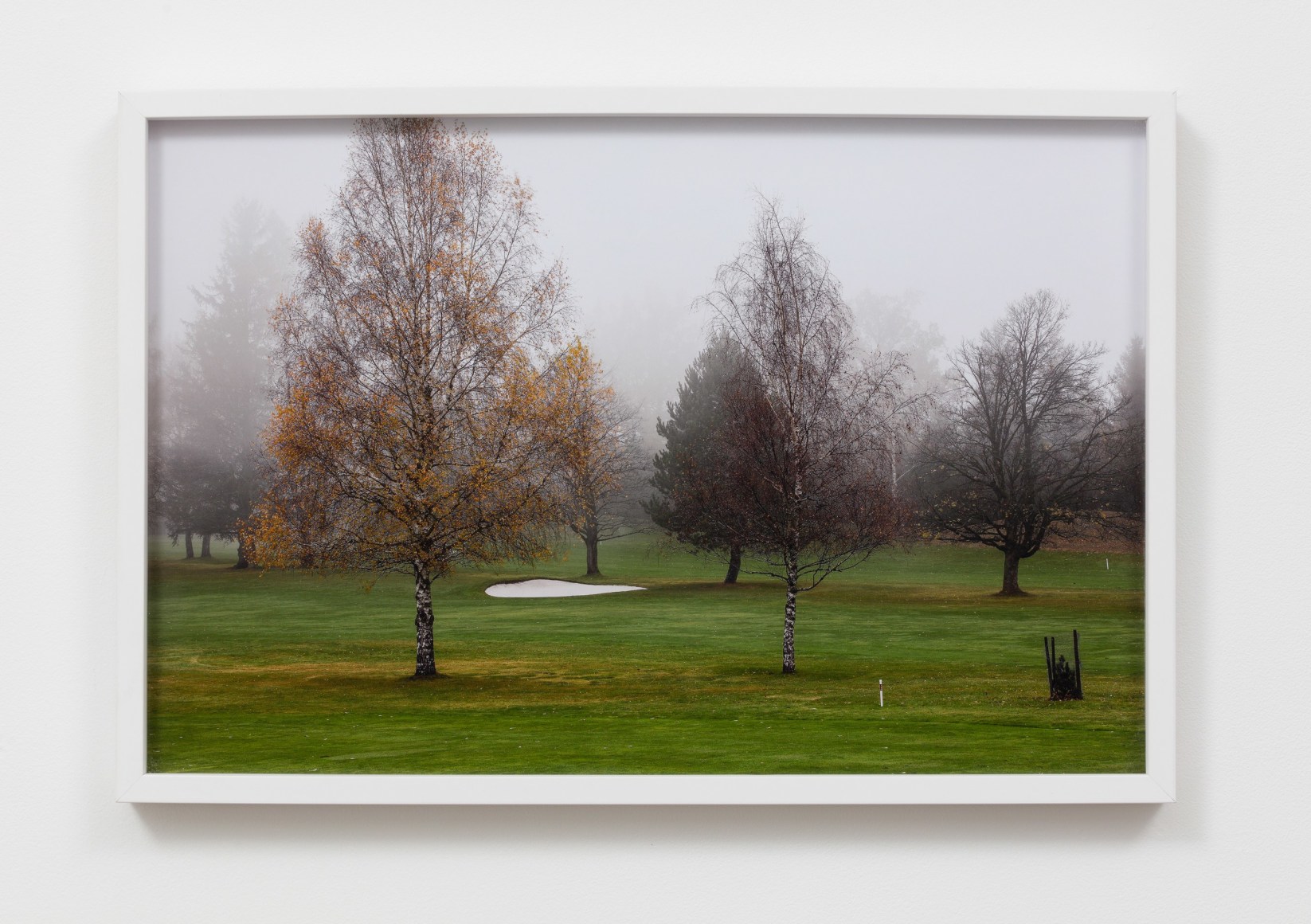  Richard Hoeck &amp;amp; John Miller