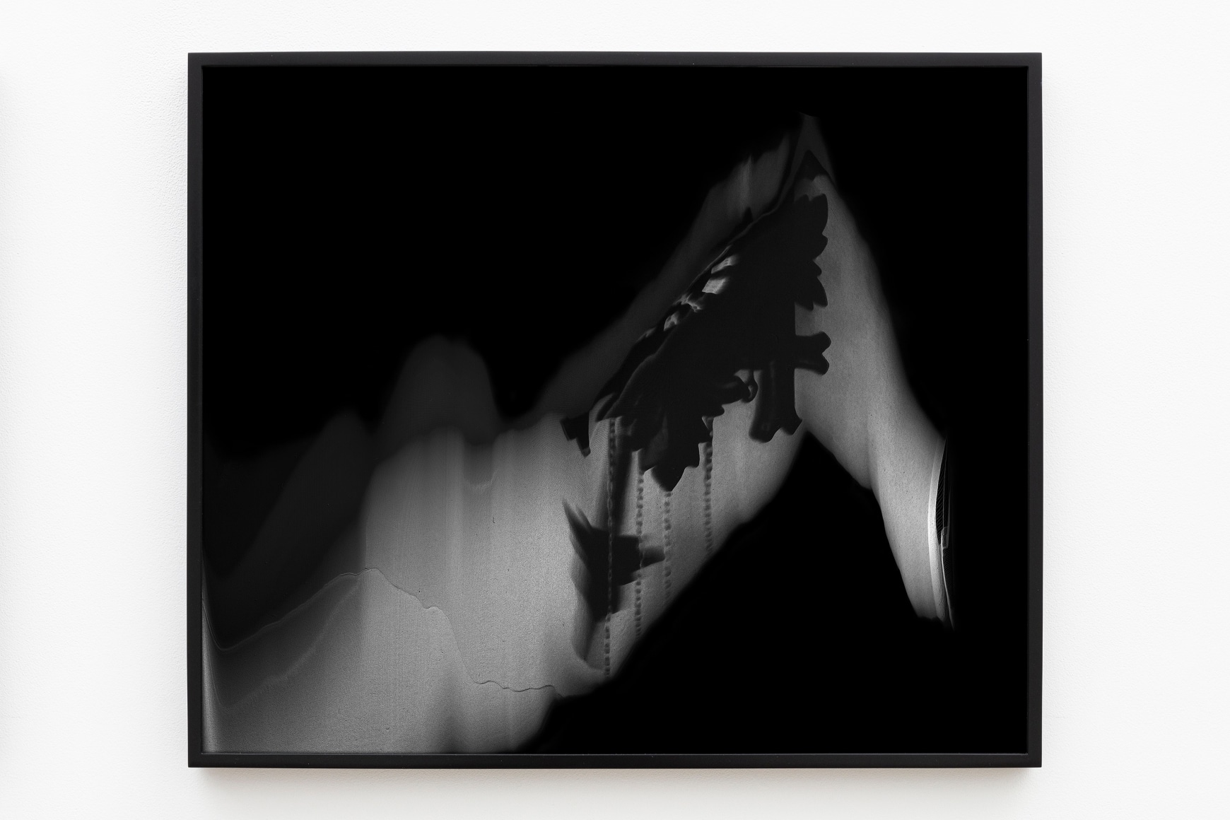 Cody Trepte, A Fact of Course, 2013