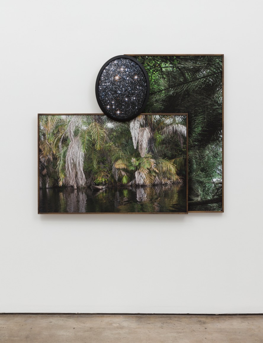 Todd Gray, Slipping into Darkness, all the Honey Gone