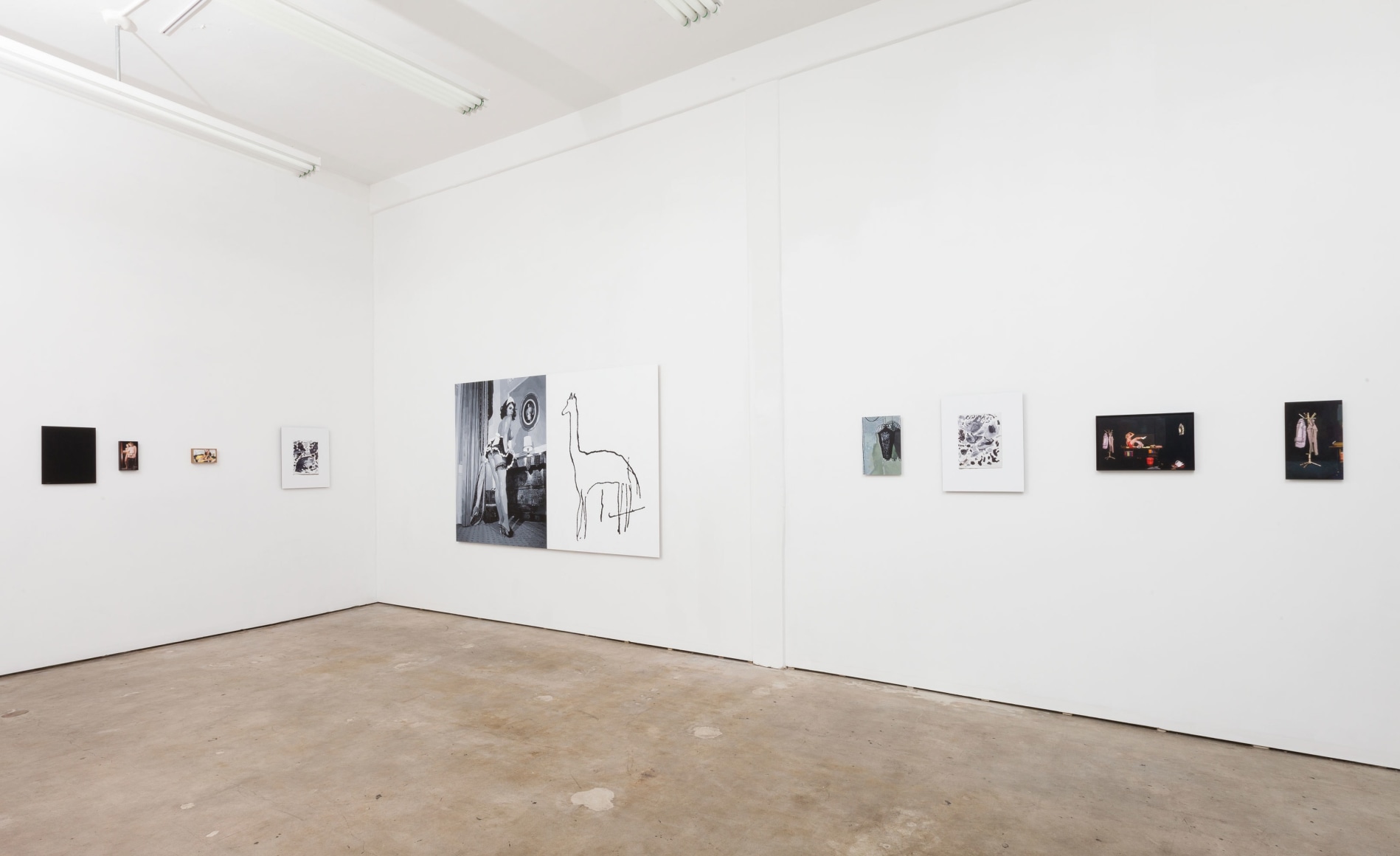 Aura Rosenberg, Scene / Obscene