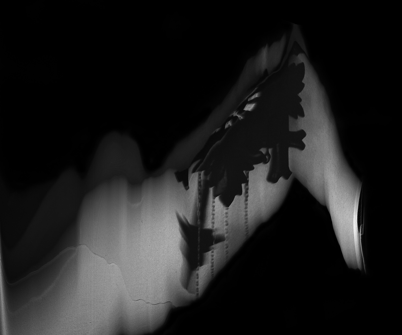 Cody Trepte, A Fact of Course, 2013