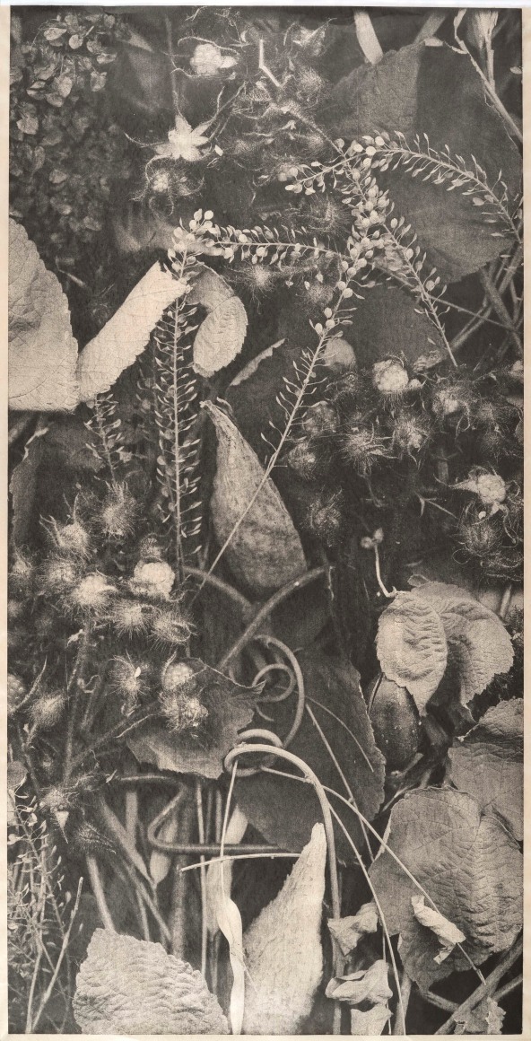 RICHARD HRICKO Growth VII, 2017