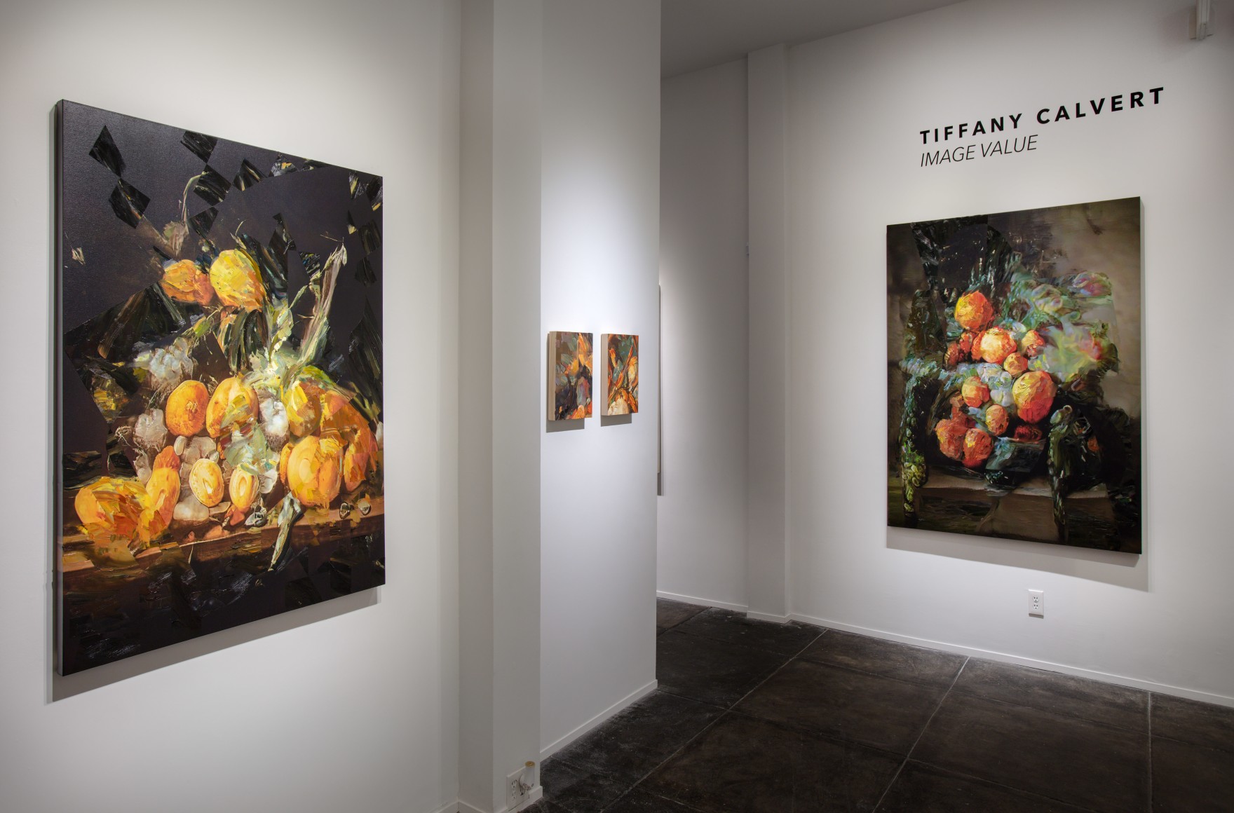 Tiffany Calvert Image Value Exhibitions Jonathan Ferrara Gallery