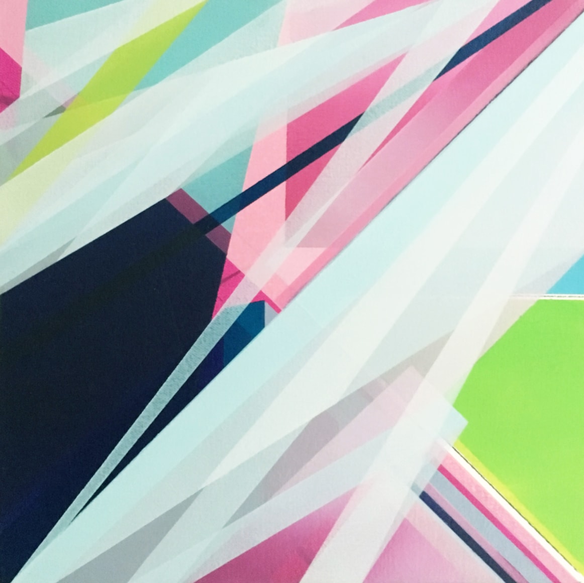 MARNA SHOPOFF Covering Imprints, 2016