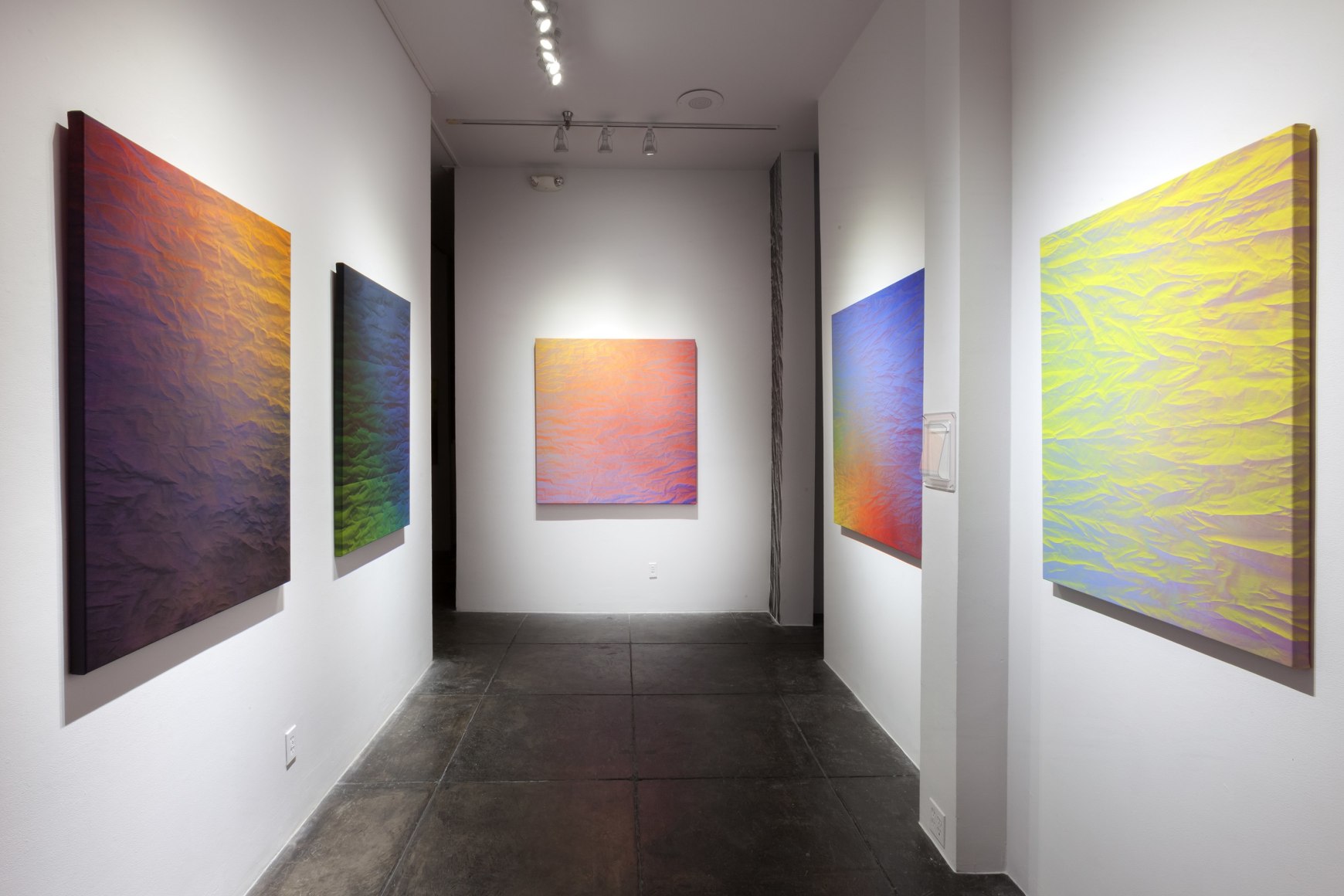 BONNIE MAYGARDEN&nbsp;|||&nbsp;Saturation [Centre Gallery Installation View]