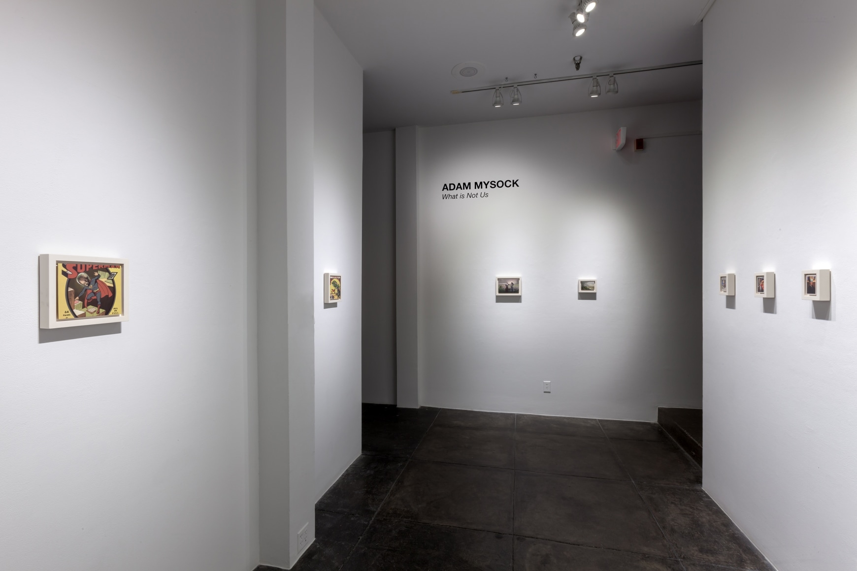 ADAM MYSOCK What is Not Us