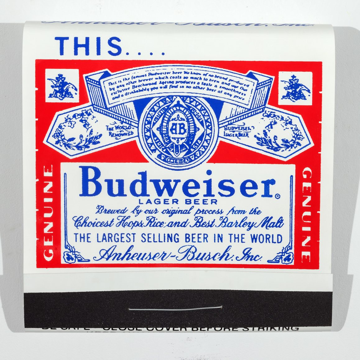 SKYLAR FEIN Budweiser, 2015
