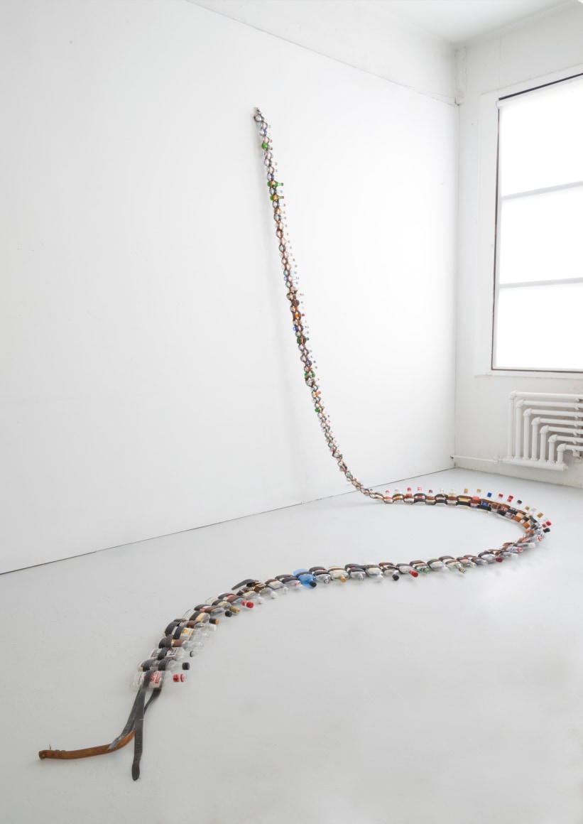 PAUL VILLINSKI, Belt [side view], 2015