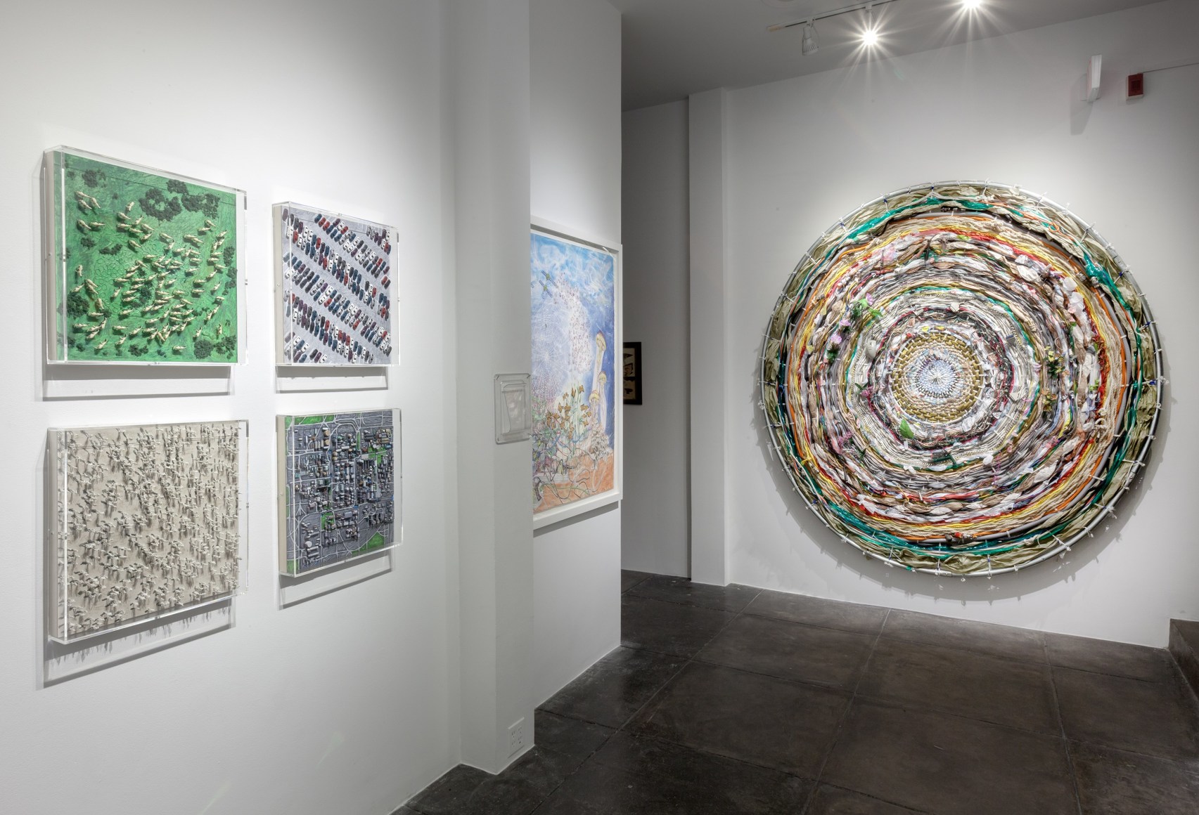 RICHELLE GRIBBLE&nbsp;|||&nbsp;Web of Life