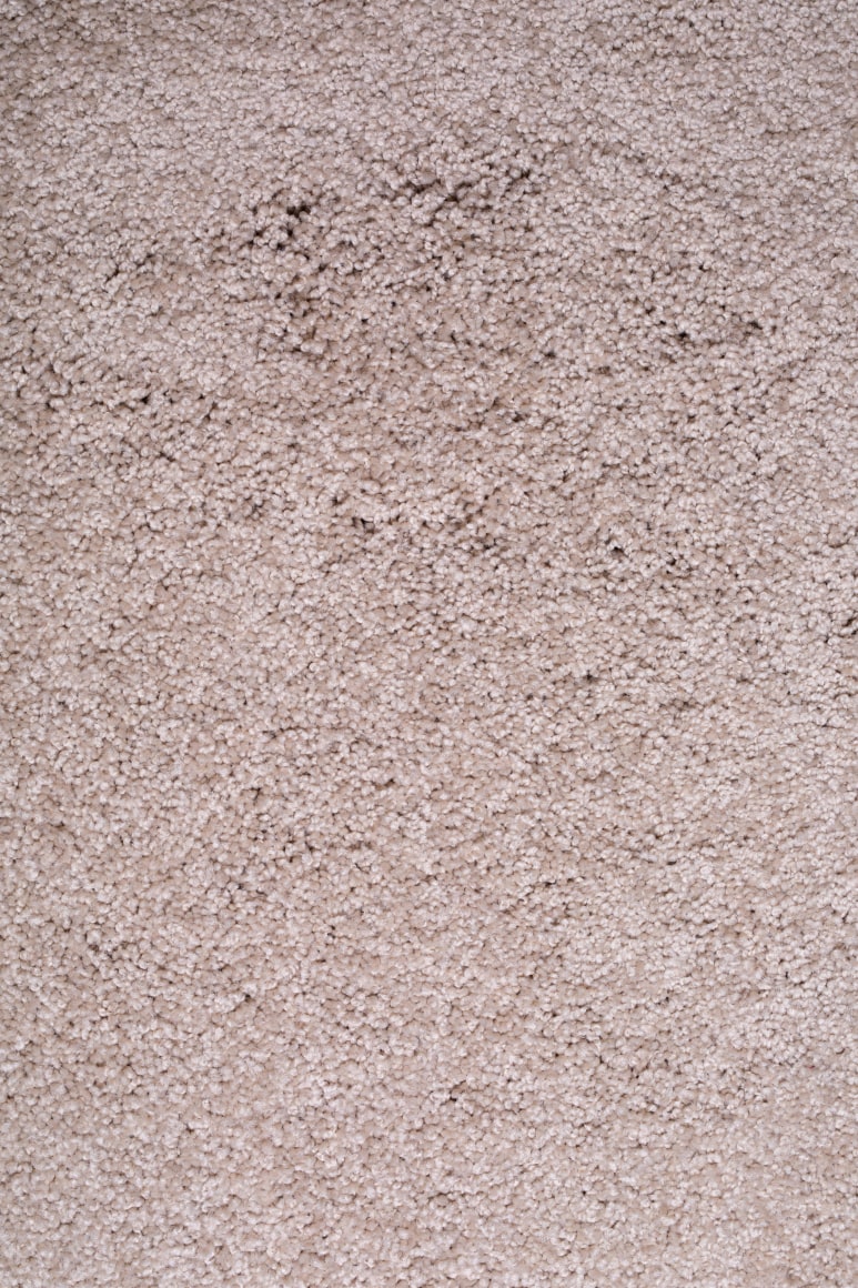 ARTEMIS ANTIPPAS, Sample (9), 2021