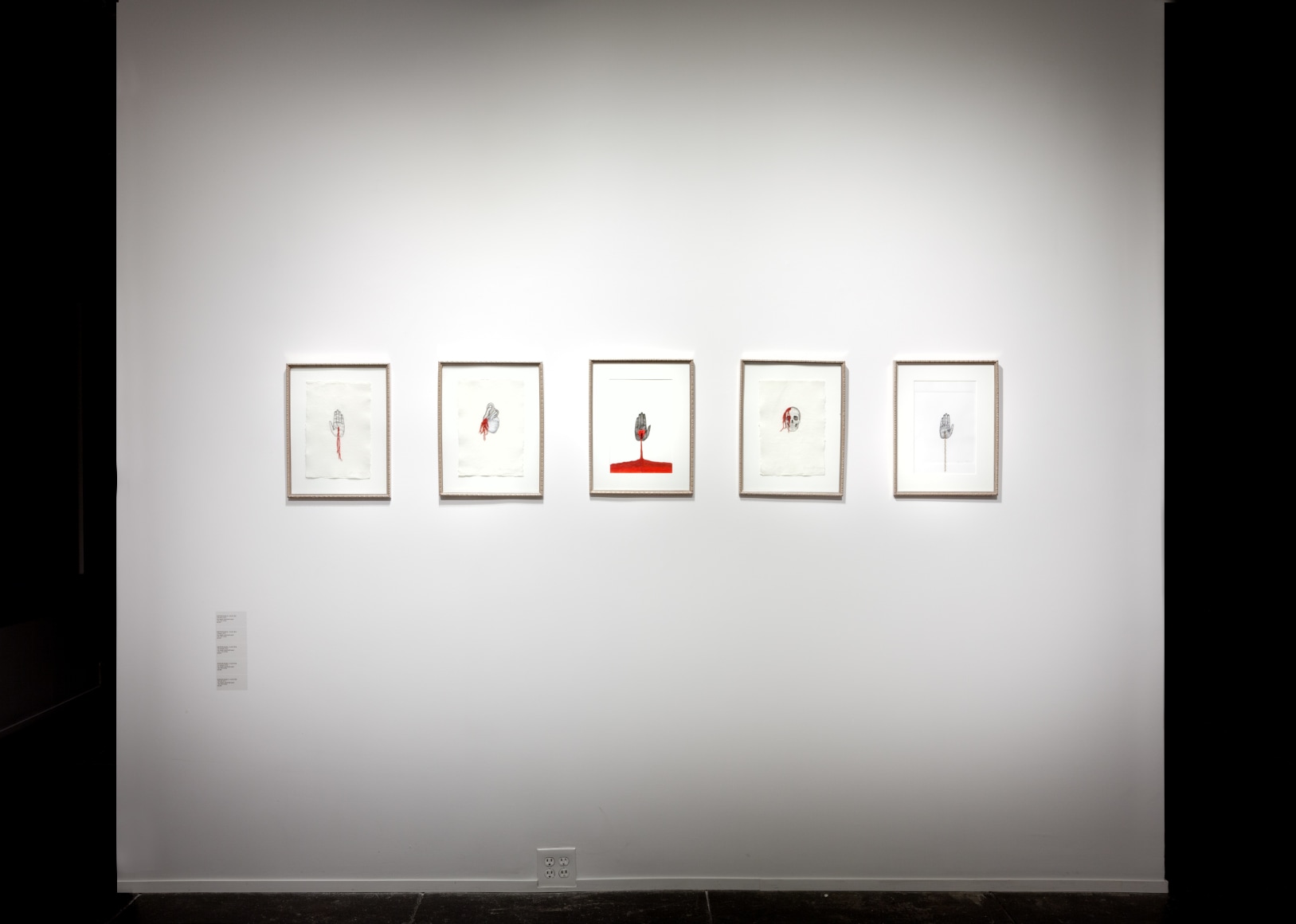 ESPERANZA CORT&Eacute;S&nbsp;, Arrested Symphony