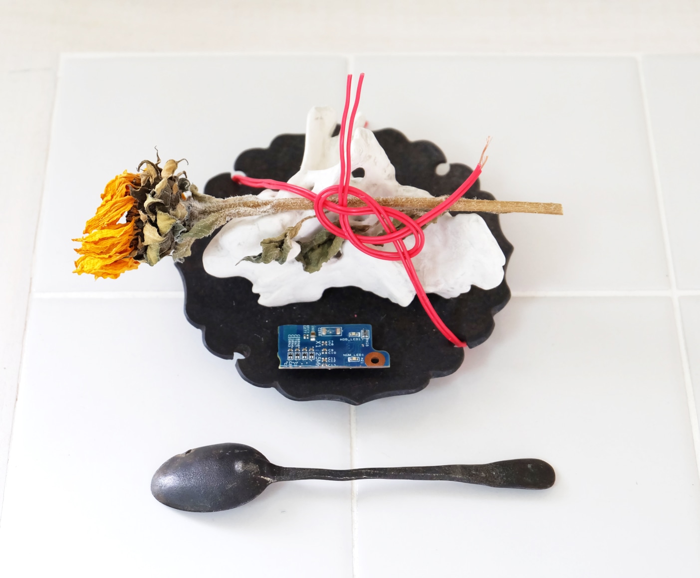 AKIHIKO SUGIURA, Human, 2018