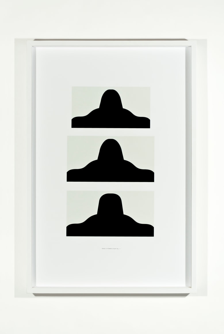 SKYLAR FEIN Devil&#039;s Tower Study No. 1, 2011