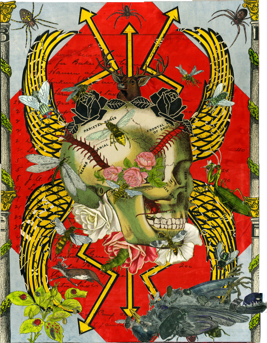 MICHAEL PAJON, The Sincerity of Death and Roses, 2014