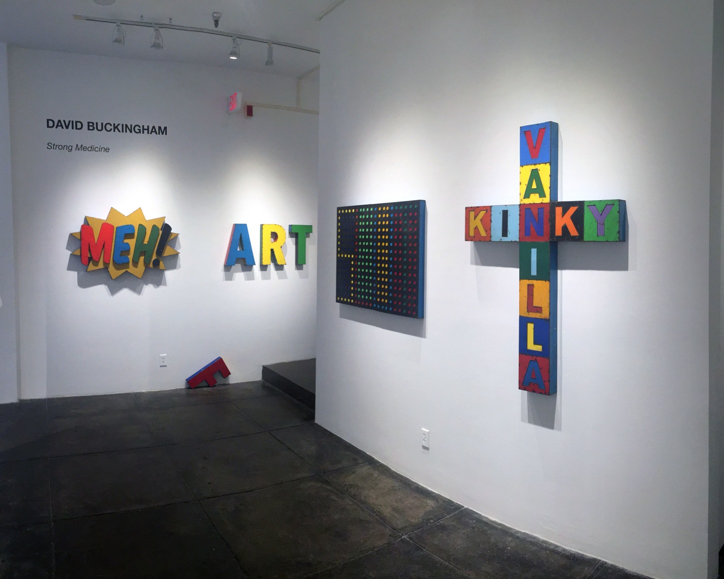 DAVID BUCKINGHAM |||&nbsp;Strong Medicine, [Middle&nbsp;Gallery Installation View]