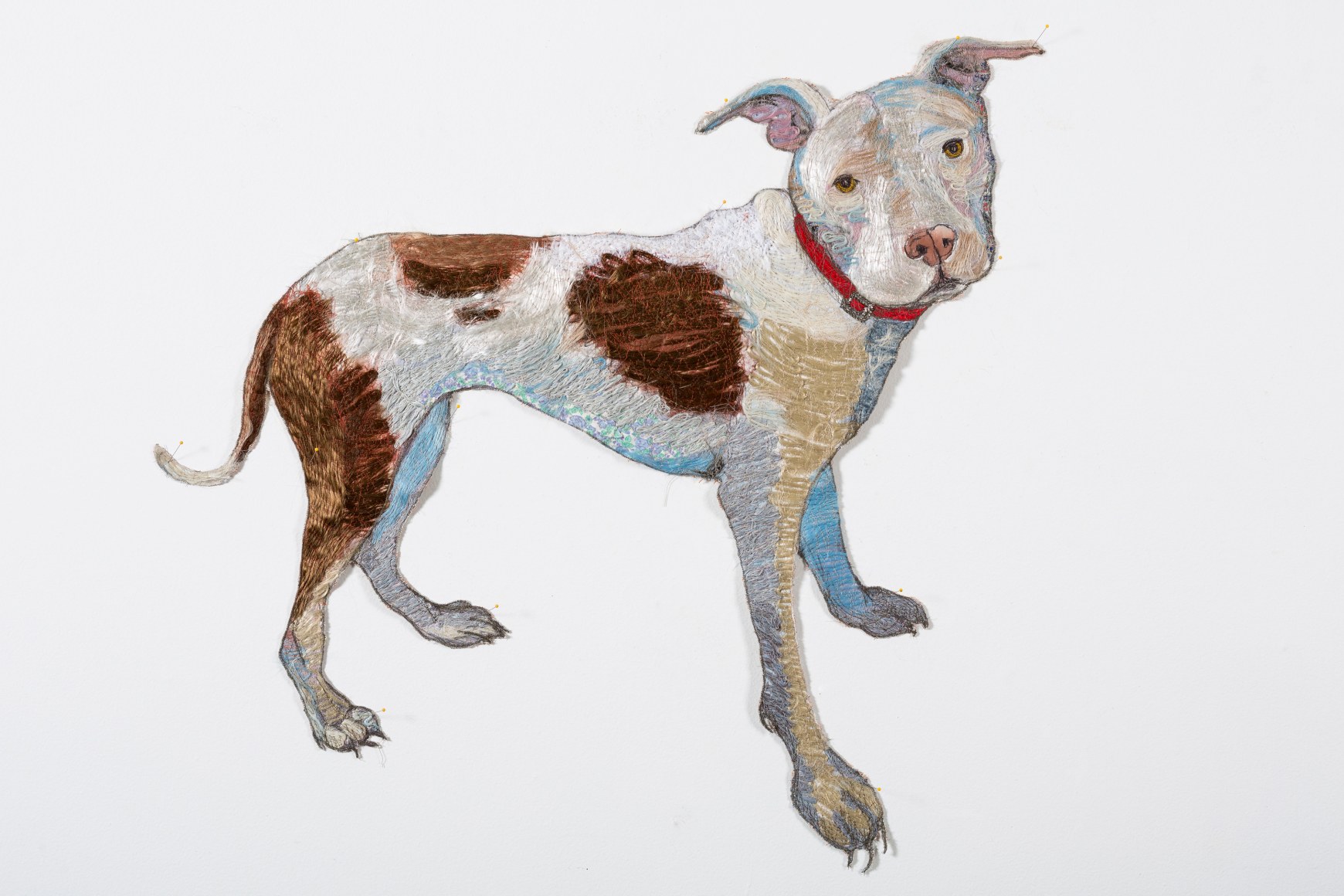 GINA PHILLIPS Daisy, 2015