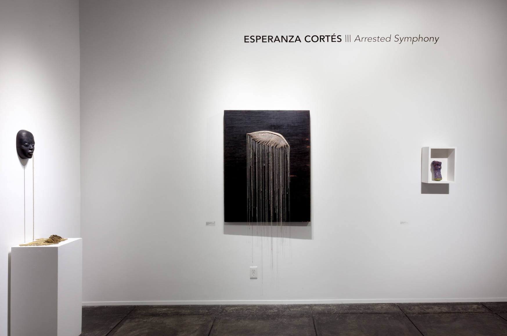 ESPERANZA CORT&Eacute;S&nbsp;, Arrested Symphony