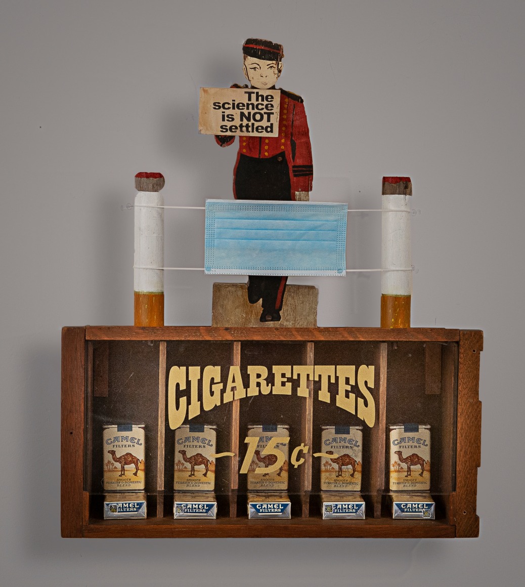 KAT FLYN, The Science is Not Settled, 2020