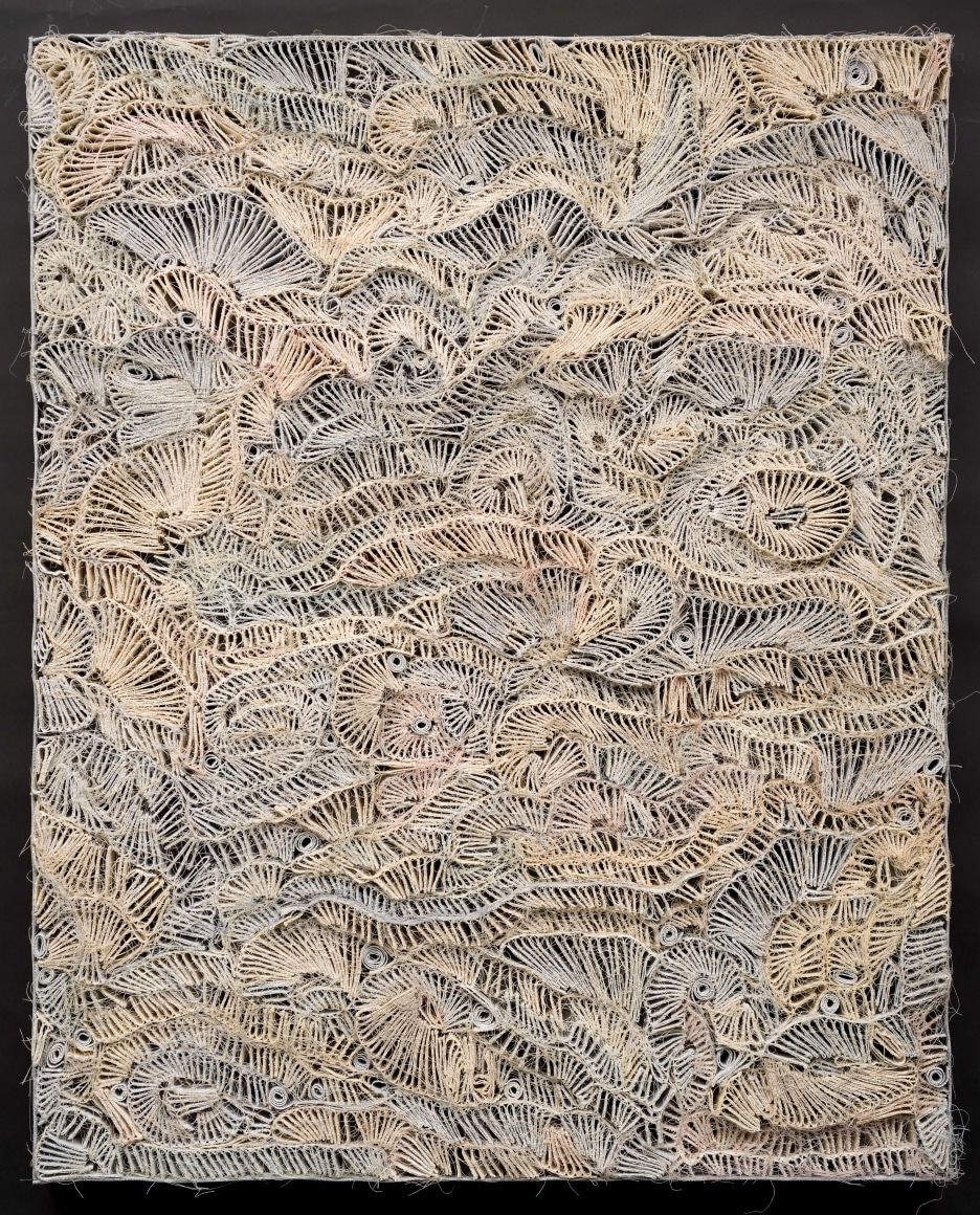 ANITA COOKE, Cellular Landscape (Puzzle), 2015