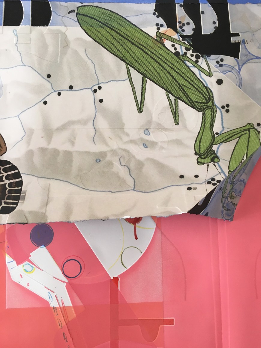 CARMON COLANGELO Praying Mantis&nbsp;[detail], 2016