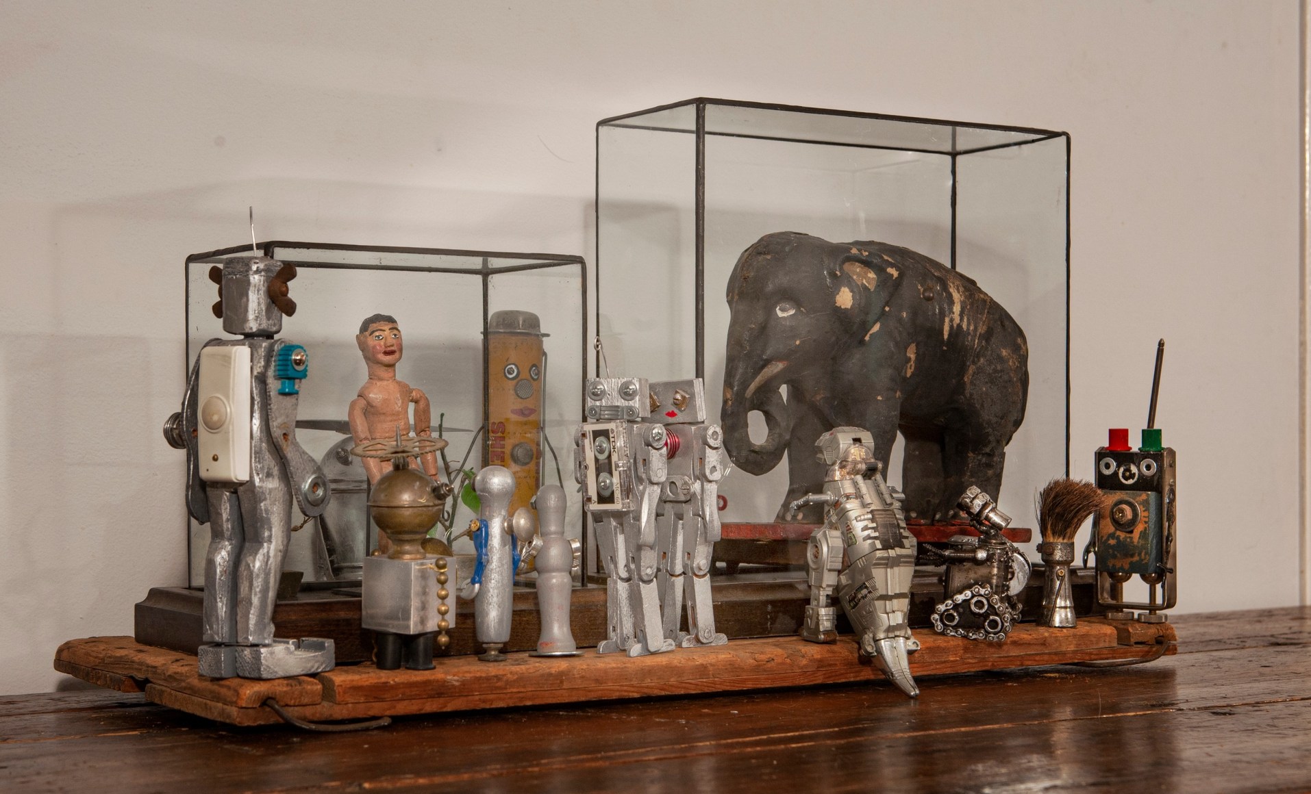 KAT FLYN, Museum of Unnatural Selection, 2020