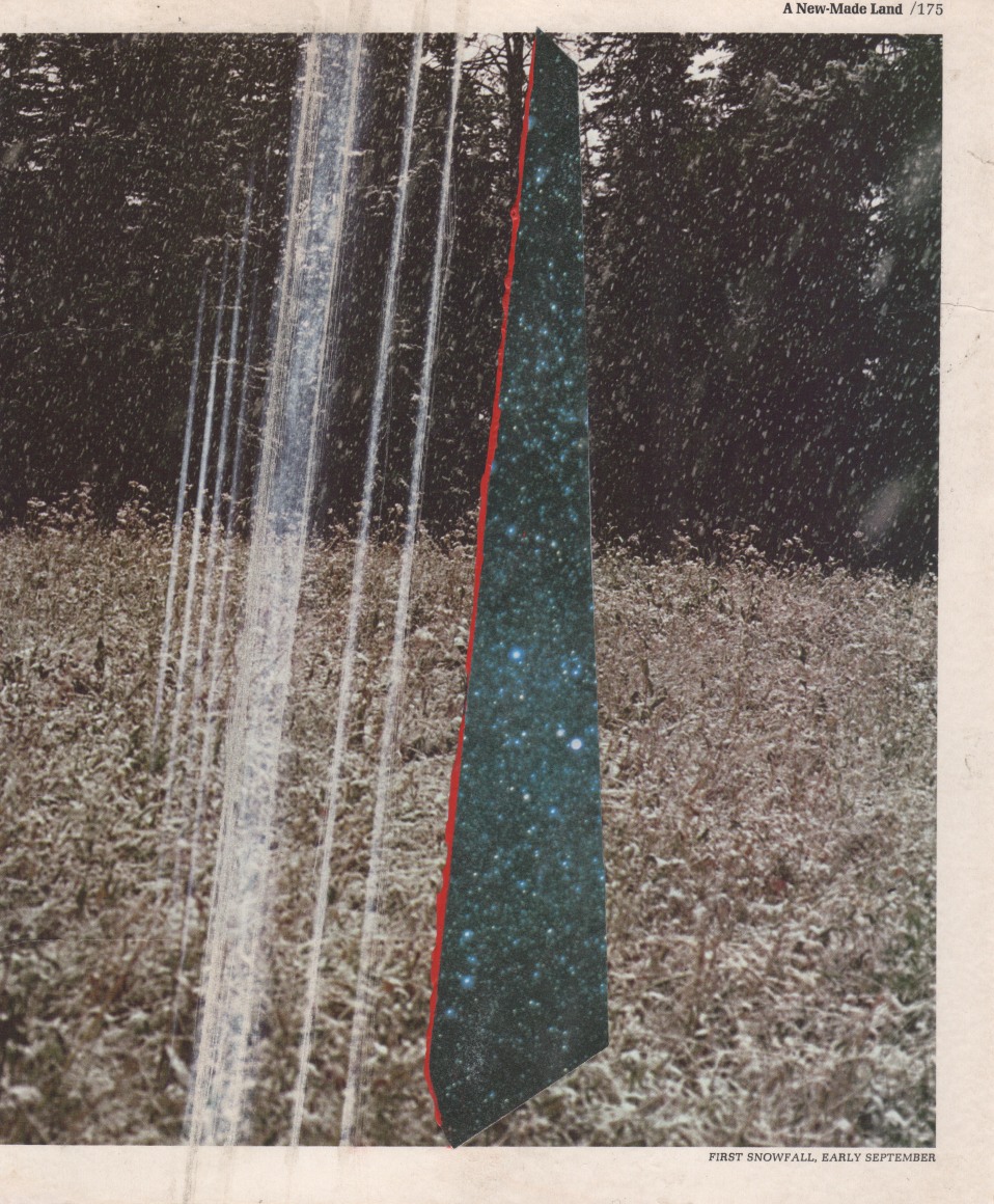 MONICA ZERINGUE A New Made Land, 2016